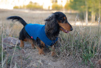 Black and Red Dog Sweater - Jumper for Dog Friend - Dog Shirt - FITS 12-18 Pounds Long -   Canine Cardigans