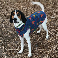 Warm Handmade Fringy Wool Dog Sweater, Canine Cardigans, FITS 12-18 Pounds Repurposed Dog Clothes