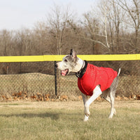 FITS 80-100 Pound Dog - Hand Made BROWN Merino Wool Great Dane Shirt -  - Big Dog Sweater - Canine Cardigans