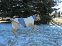 Handmade Fits 4-6 pounds LONG - Gift For Dog, Sweater for Puppy, Warm Dog Coat - Canine Cardigans