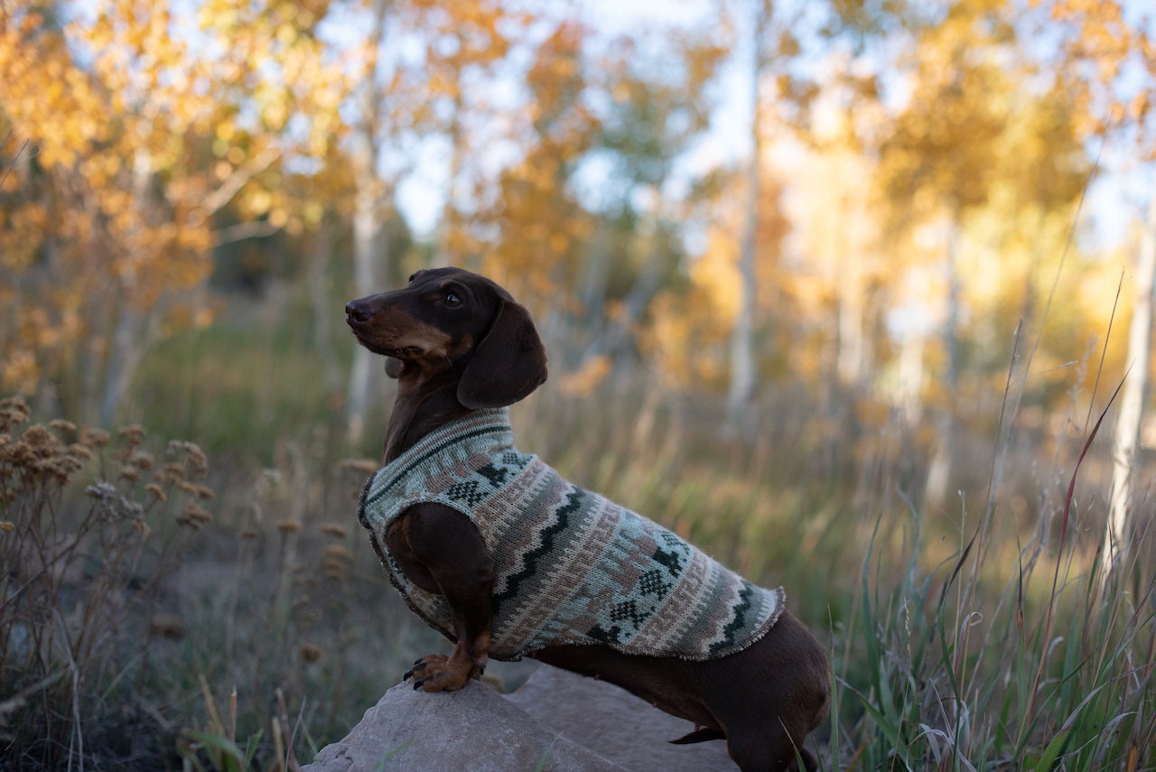 Handmade Merino Wool/Acrylic  Dog Shirt - Little Dog Sweater - FITS 6- 10  - Canine Cardigans