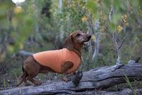 FITS 8-13 Pound Dog RED Cashmere Dog Sweater - Warm Dog Shirt - Canine Cardigans