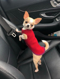 Handmade Tiny Dog Shirt - Little Dog Sweater - Fits 1 pound or LESS -  Canine Cardigans