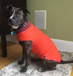 Big Dog Sweater, Fancy Wool Dog Shirt, Canine Cardigans, FITS 25-40 Pounds, Repurposed Dog Clothes