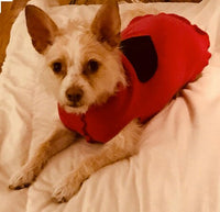 Wool Dog Sweater - Handmade Dog Shirt - FITS - 8-13 Pounds LONG - Canine Cardigans