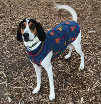 FITS 6 - 10 Pounds LONG, Warm Handmade From Upcycled Cashmere  Dog Sweater, Canine Cardigans,  Repurposed Dog Clothes