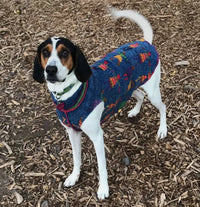 Big Dog Sweater, Cashmere Dog Shirt, Canine Cardigans, FITS 15 - 25 Pounds, Repurposed Dog Clothes