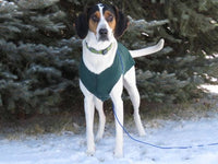 FITS 8 - 13 Pound BULLDOG Handmade Bull Dog Sweater - Warm Dog Coat - Canine Cardigans - Repuposed - Upcycled