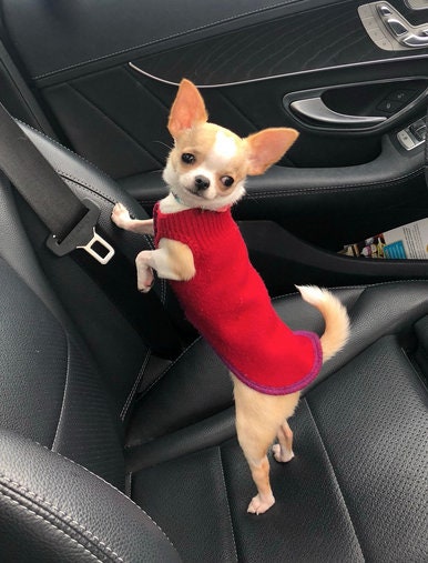 FITS 8 - 13 Pounds LONG - Handmade for your dog by a real person - Dog Cashmere Dog Sweater- Small Dog Clothes - Canine Cardigans