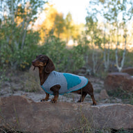 RED Dog Sweater , Upcycled Dog Clothes,  FITS 15 - 25 Pound Dog, Canine Cardigans