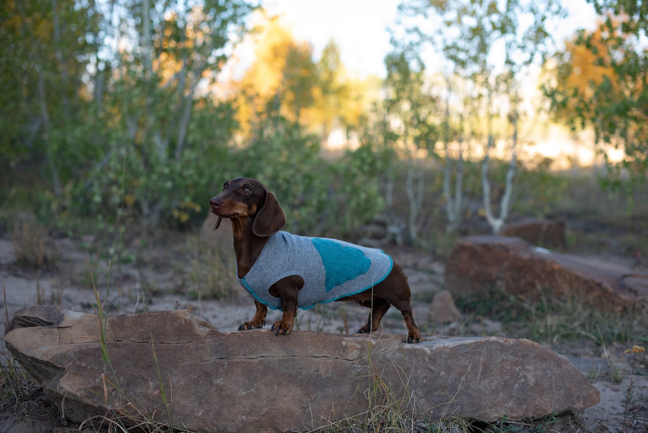 RED Dog Sweater , Upcycled Dog Clothes,  FITS 15 - 25 Pound Dog, Canine Cardigans