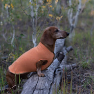 RED Dog Sweater , Upcycled Dog Clothes,  FITS 15 - 25 Pound Dog, Canine Cardigans