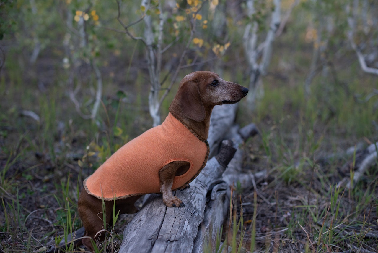 RED Dog Sweater , Upcycled Dog Clothes,  FITS 15 - 25 Pound Dog, Canine Cardigans