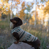 Handmade Cotton Dog Shirt - Little Dog Sweater - FITS 4 - 6 LONG Pounds - Canine Cardigans Wool Free