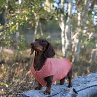 Handmade Cotton Dog Shirt - Little Dog Sweater - FITS 4 - 6 LONG Pounds - Canine Cardigans Wool Free