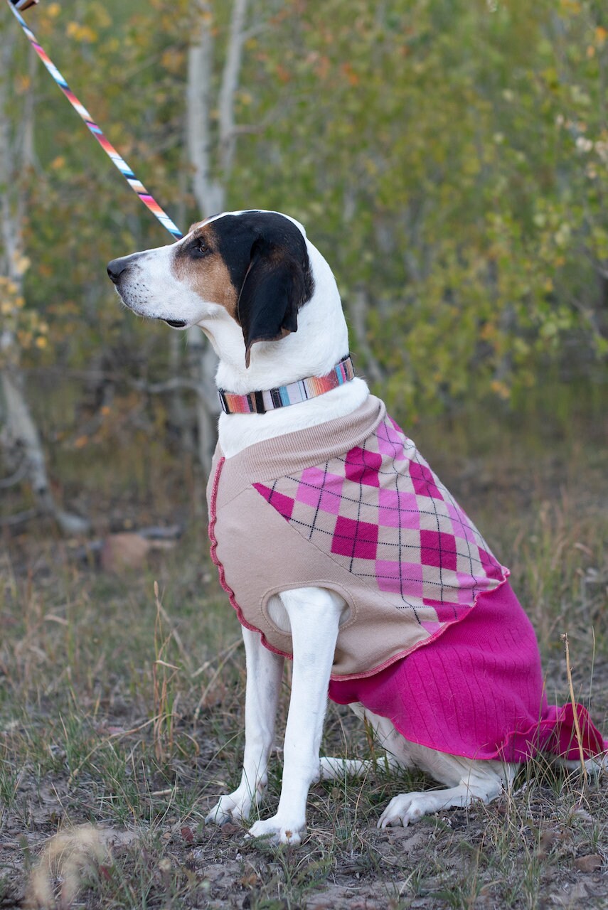 Angora Dog Sweater, Fancy Dog Coat, Dog Jacket,  FITS 25 - 40 Pounds -  Repurposed Petwear - Canine Cardigans