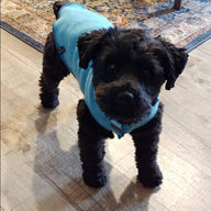 Hand Made Warm Dog Sweater for Little Dog - Fits 4 - 6 Pounds LONG - Canine Cardigans