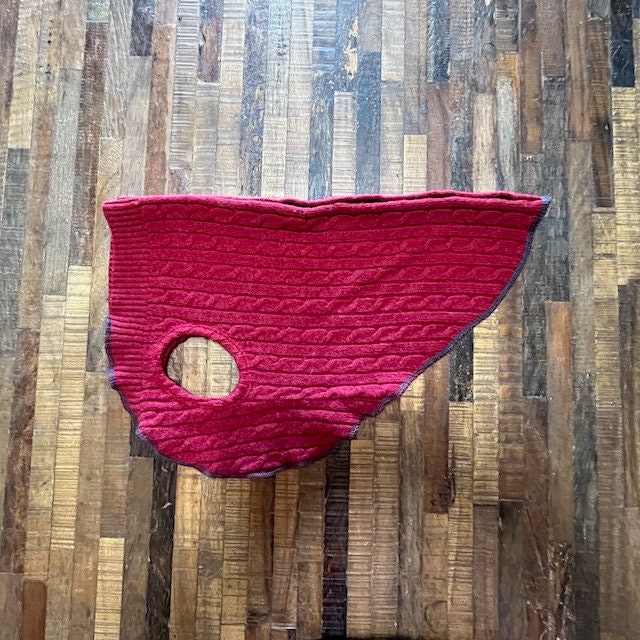 RED Dog Sweater , Upcycled Dog Clothes,  FITS 15 - 25 Pound Dog, Canine Cardigans