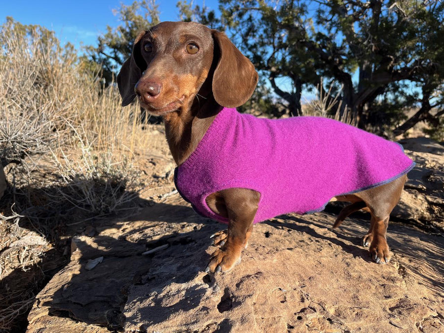 Canine Cardigans Dog Sweater - Purple Cashmere Dog Coat - FITS 8 - 13  Pounds LONG - REPURPOSED - Upcycled -  Canine Cardigans