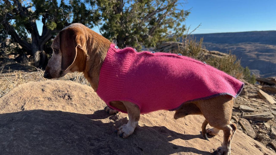 Hand made Nylon ANGORA Dog Sweater - Winter Dog Shirt - FITS 8 - 13 Pounds Long - Canine Cardigans