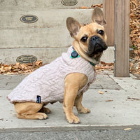 FITS 15-25 Pound LONG Dog, Cashmere Dog Sweater,  Upcycled Dog Clothes, Canine Cardigans