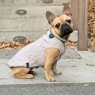 Soft Handmade  Dog Sweater - FITS 15 - 25 Pounds - Soft Dog Coat - Canine Cardigans