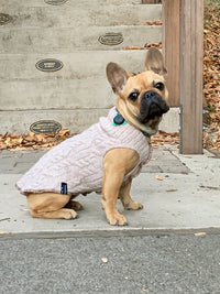 Soft Handmade  Dog Sweater - FITS 15 - 25 Pounds - Soft Dog Coat - Canine Cardigans