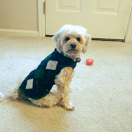 FITS 15-25 Pound LONG Dog, Cashmere Dog Sweater, Skull Day of the Dead,  Upcycled Dog Clothes, Canine Cardigans